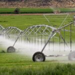 Irigatiile eficiente: Solutii moderne pentru economisirea apei