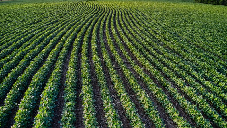 Top 5 inovatii in agricultura